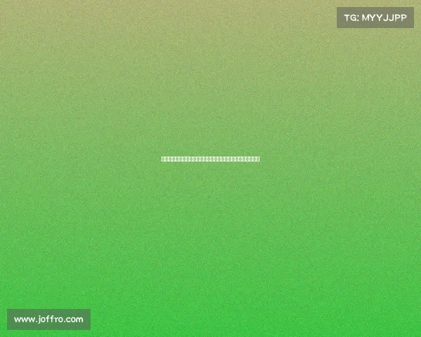 河南散打超级联赛群雄逐鹿中原汇聚武林豪杰巅峰之战二零二四